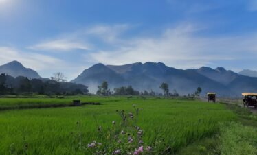 South India Tour