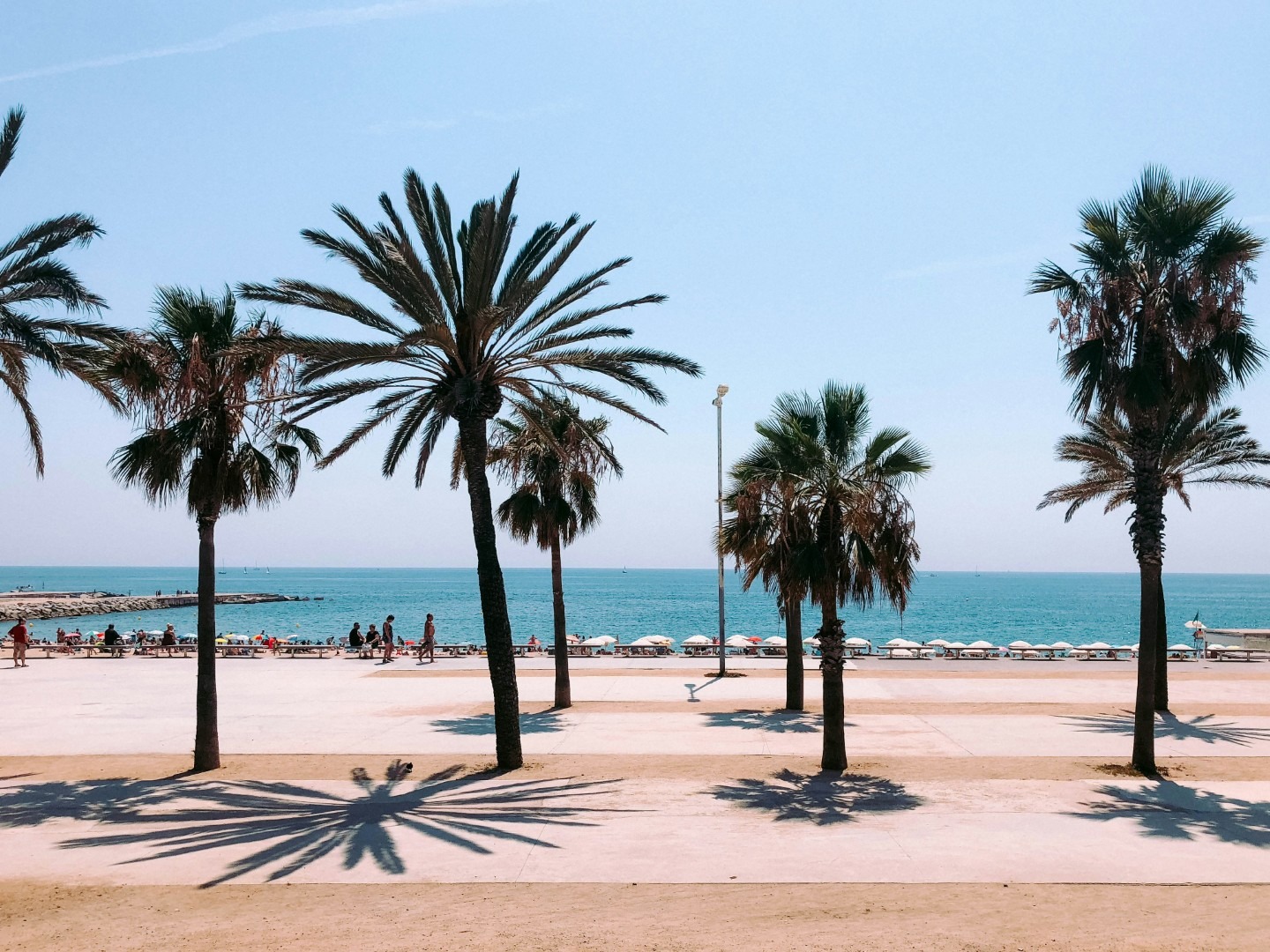 lucrezia-carnelos-BG8TvW6NYYw-unsplash (Large)