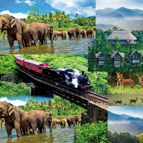 Sri Lanka Holiday Package